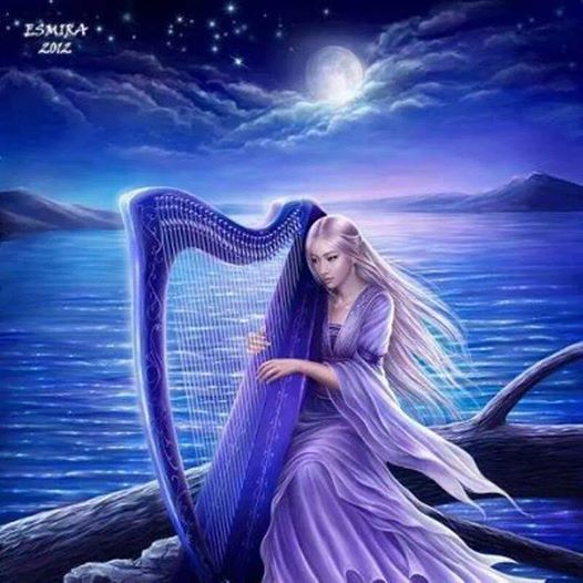 10156932_633960726653047_1174578393_n