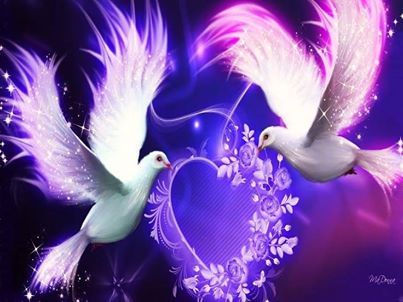 1017131_829625117066964_6576603635688859679_n