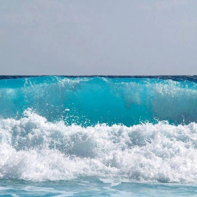 10173584_523801684395275_1866513151449204089_n