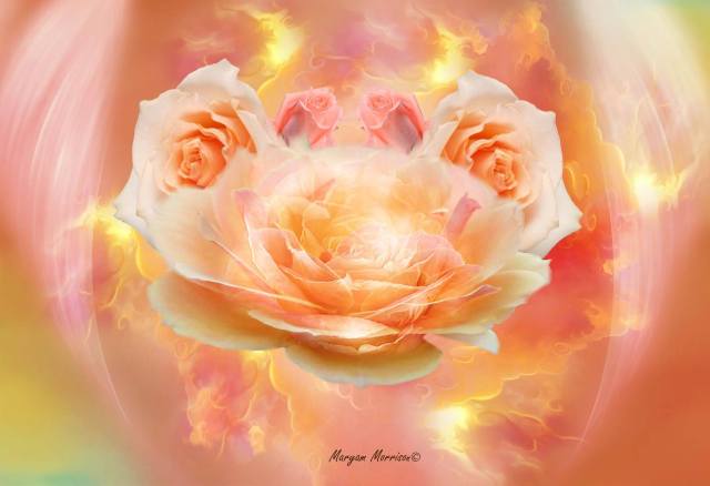 10269289_852183791462320_1512536327174322840_o