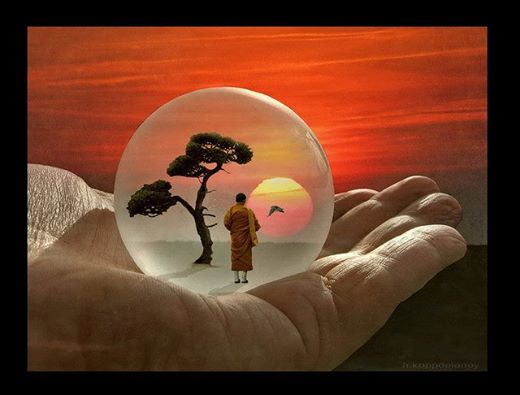 10291797_238058383049489_8028907082149215705_n