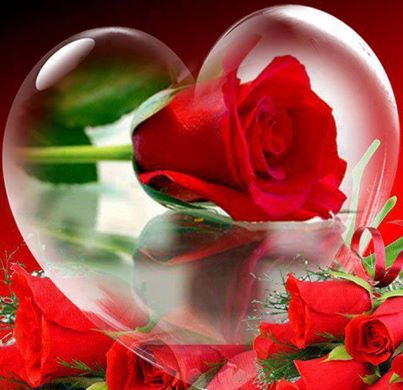 10367124_649282218482243_6913796332791667090_n