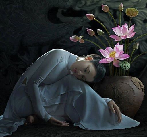 1044019_440568522741415_1932875686_n