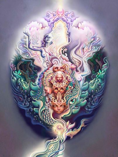 1237919_1406414372918265_577151434_n