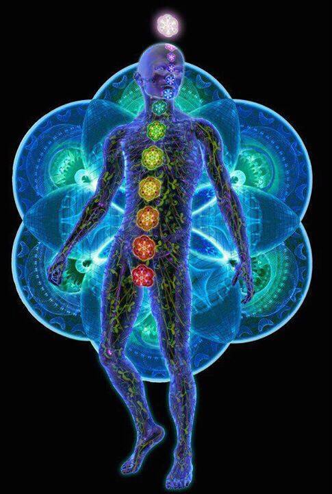 1525400_1377442455851837_1154474058_n