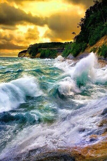 1533777_841593915856308_263910083_n