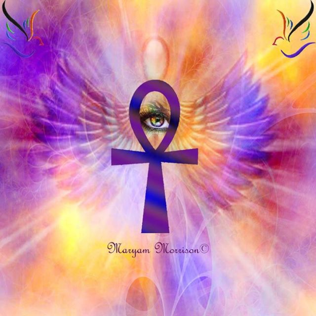 1535554_780329088647791_1679792113_n