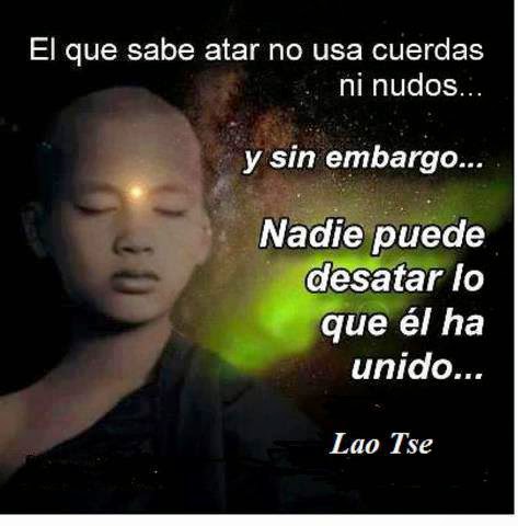 1604738_850271521654958_53628275106589601_n