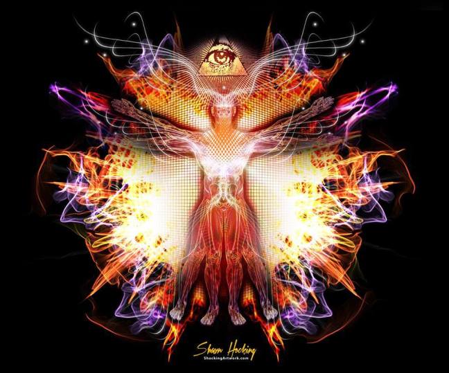 1619534_623006941069584_2134694475_n