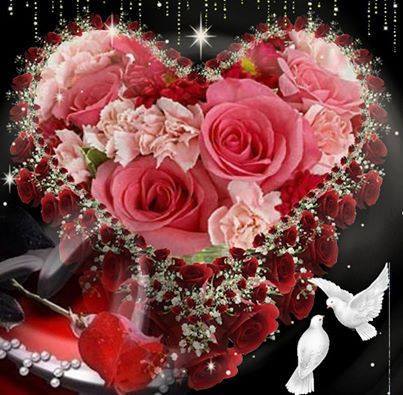 1904176_760308180654574_1845651684_n