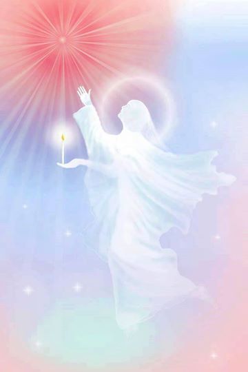 1912452_789515047744638_2070250467_n