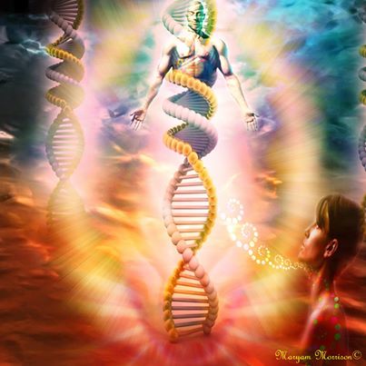 1932422_811479232199443_743135041_n