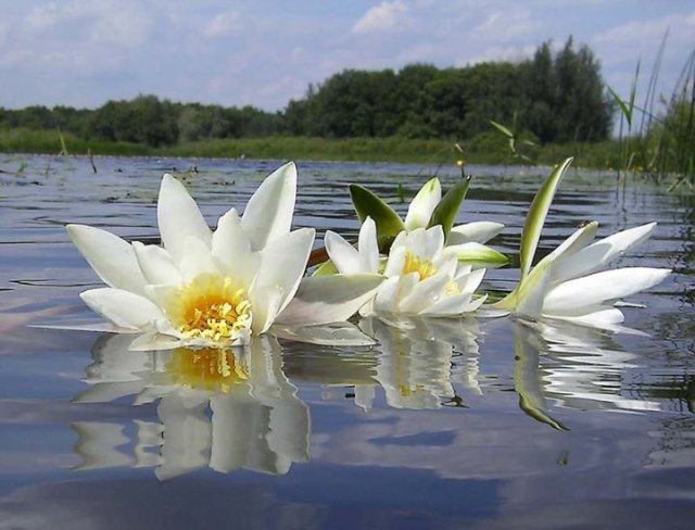 396682_117139838446022_1419983458_n