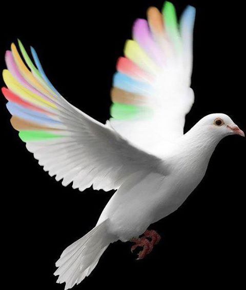 944714_266853296789648_1414135292_n