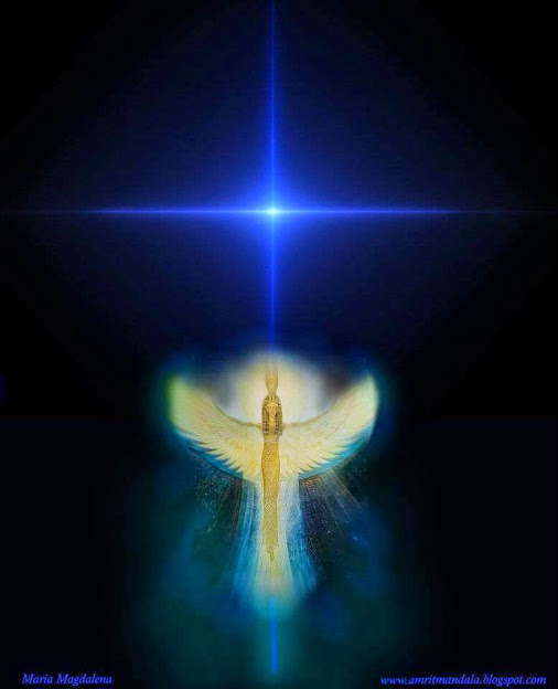 1010205_642292535820559_8970336749849979527_n