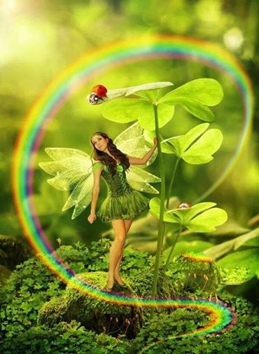 10150069_636288599753593_2053845477_n