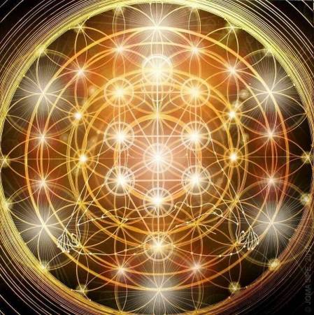 10151007_635853876463732_1152067733_n