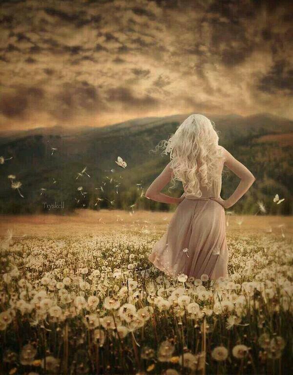 10151931_683148451743368_3866661714750175586_n