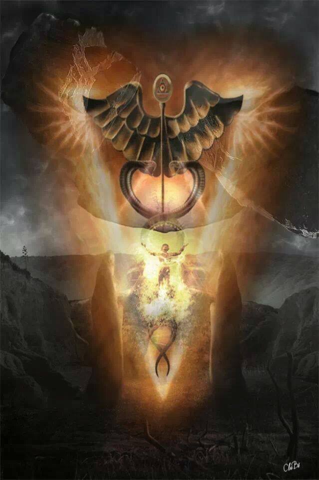 10153374_636292739753179_1915258685_n