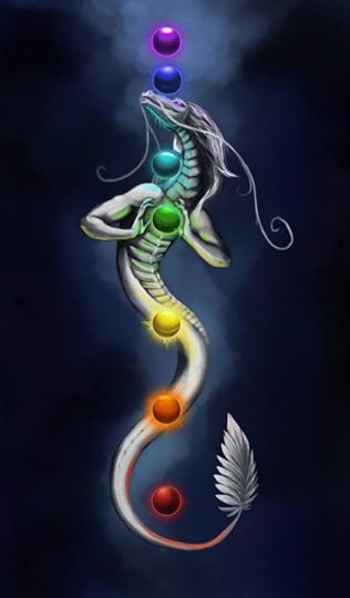 10156087_745554282145590_4397916145557164824_n