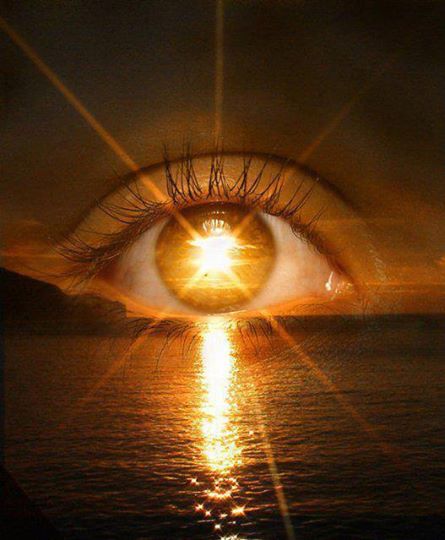 10255807_585798618193970_2075350939298085480_n