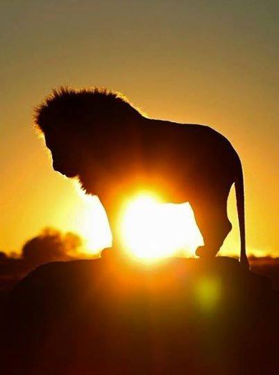 10264317_719280268132151_8828817080872052522_n