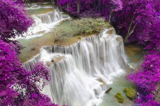 10296665_319002534919777_3227200092188902691_n