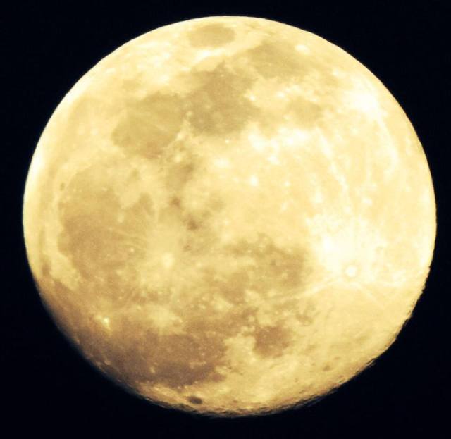 10309195_860456847315060_8549775347393790478_n