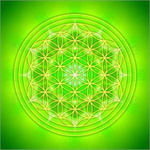 10411428_601461403286539_1604263178661689026_n