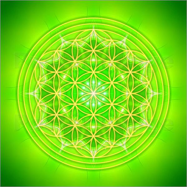 10411428_601461403286539_1604263178661689026_n