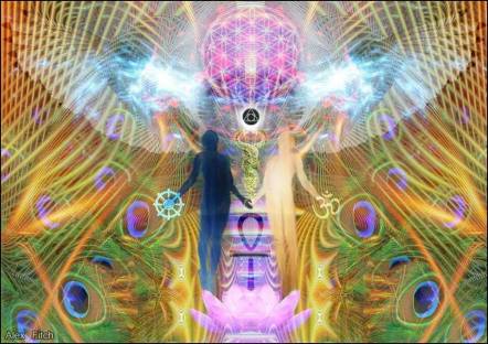 10510174_673637232685396_2056289426_n