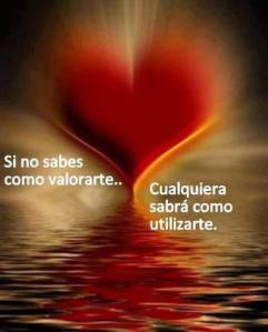 1095017_528610927187495_567716536_n