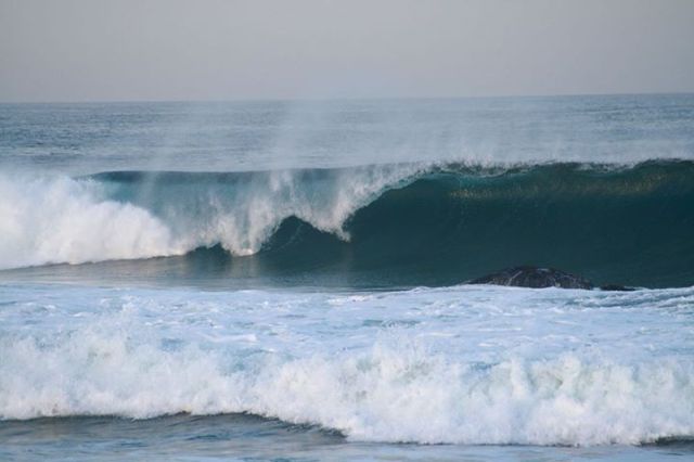 1239584_369206856545400_404698336_n