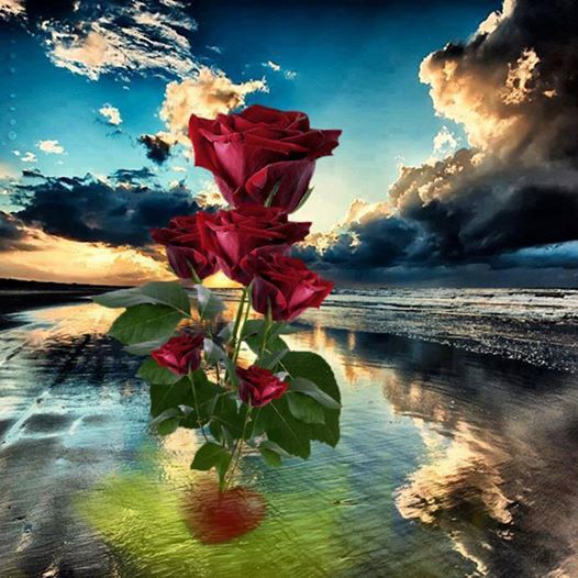 1375698_658730290826590_422360093_n