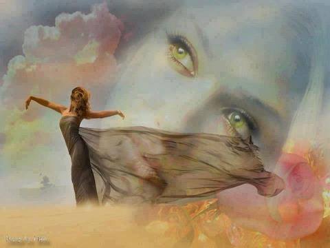 1488058_603358146409642_1409756181_n