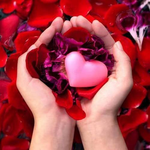 1533746_10102439698117444_2202781483323478195_n