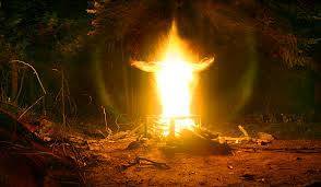 1560388_307193742774006_3884083843828839589_n