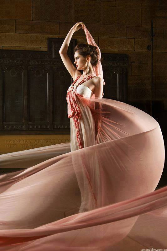 1782147_498247010284076_1289504618_n