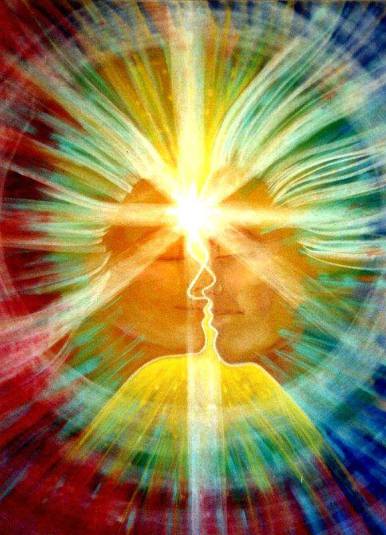 1005827_216680665158452_225660449_n