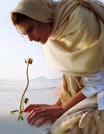 10352039_567650273343749_1862679015386535972_n