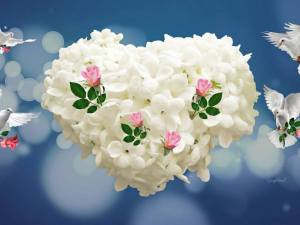 10373498_798433076854440_7939056594662661195_n