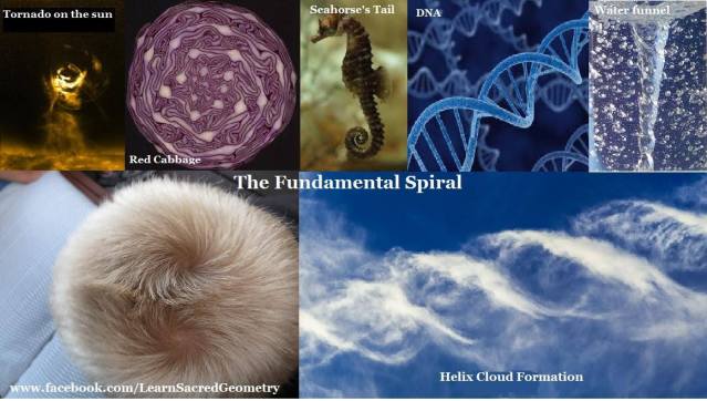 10382401_10152244865513907_463095152352870423_o