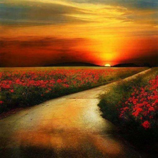 10436343_266675513534639_6839155010991887322_n