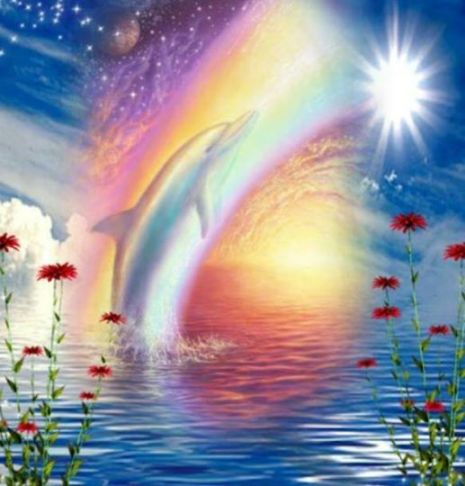 10455179_337647786386613_9056689289983108387_n