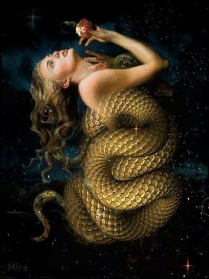 10515013_673636809352105_663899358_n