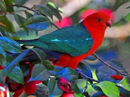 10518015_347784595373929_2357731547980456149_n