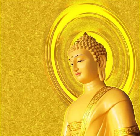 11888_844042748956045_1924658239_n