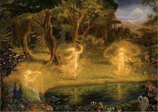 1462855_10151924652543105_209720271_n