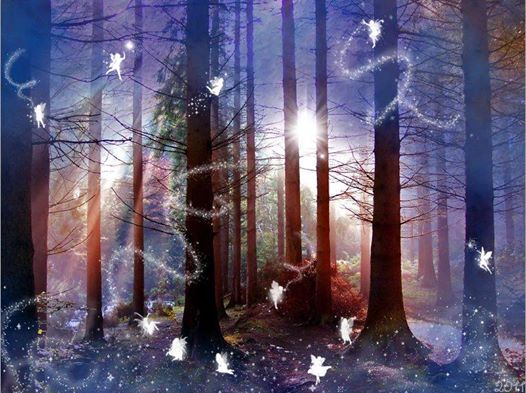 1554424_10152056916583105_1988151795_n