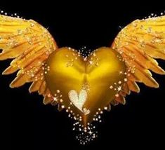 1937439_10202950512981849_8350170681853073868_n